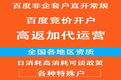 谷歌SEM广告投放策略解析：一家旅游公司的成功案例